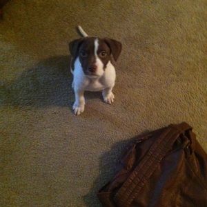 Meet your Posher, Paul